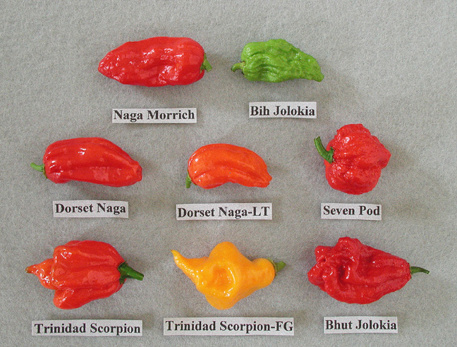 naga peppers image